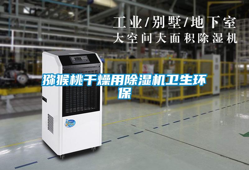 獼猴桃幹燥用91看片在线下载機衛生環保