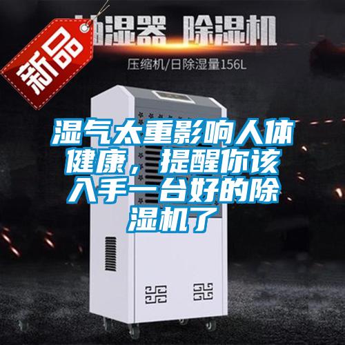 濕氣太重影響人體健康，提醒你該入手一台好的91看片在线下载機了