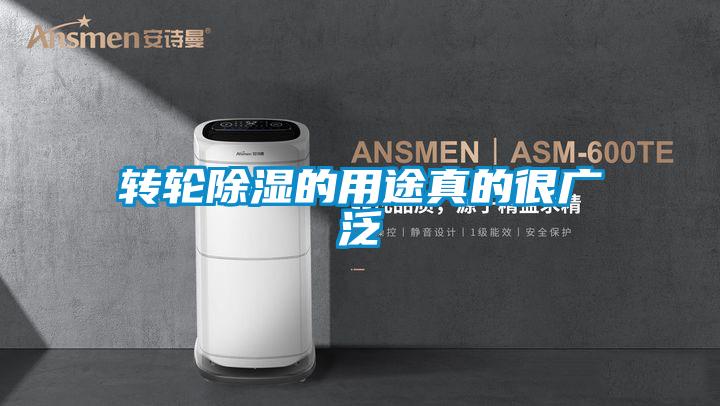 轉輪91看片在线下载的用途真的很廣泛