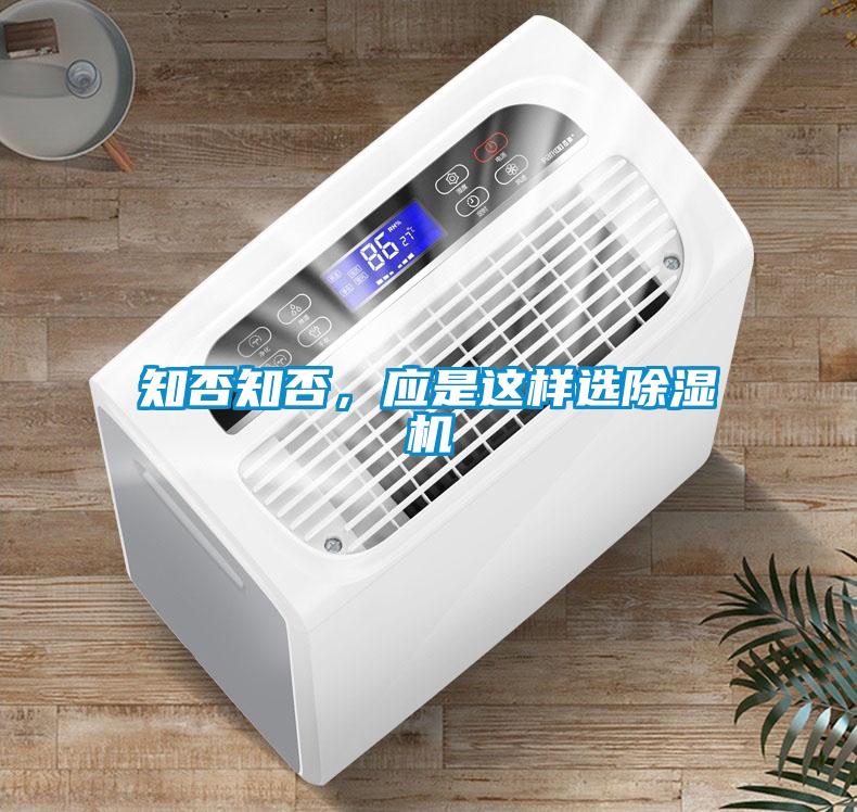 知否知否，應是這樣選91看片在线下载機