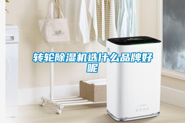 轉輪91看片在线下载機選什麽品牌好呢