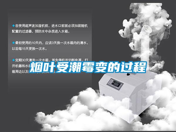 煙葉受潮黴變的過程