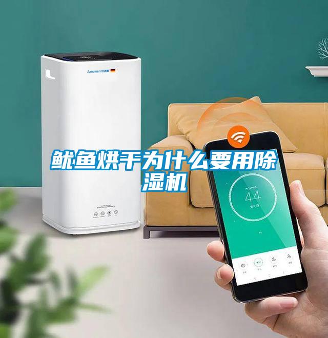 魷魚烘幹為什麽要用91看片在线下载機