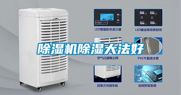 91看片在线下载機91看片在线下载大法好