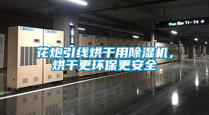 花炮引線烘幹用91看片在线下载機，烘幹更環保更安全
