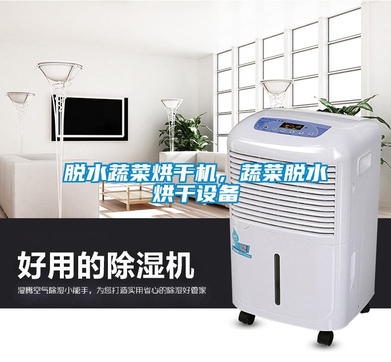 脫水蔬菜烘幹機，蔬菜脫水烘幹設備