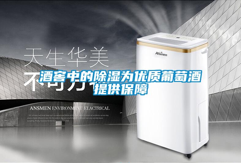 酒窖中的91看片在线下载為優質葡萄酒提供保障