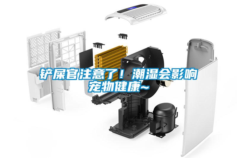 鏟屎官注意了！潮濕會影響寵物健康~