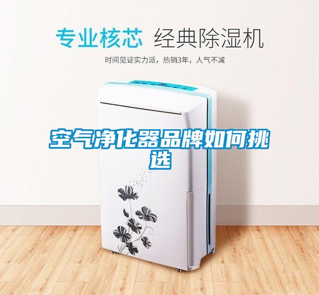 空氣淨化器品牌如何挑選