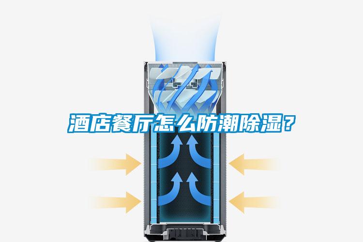 酒店餐廳怎麽防潮91看片在线下载？