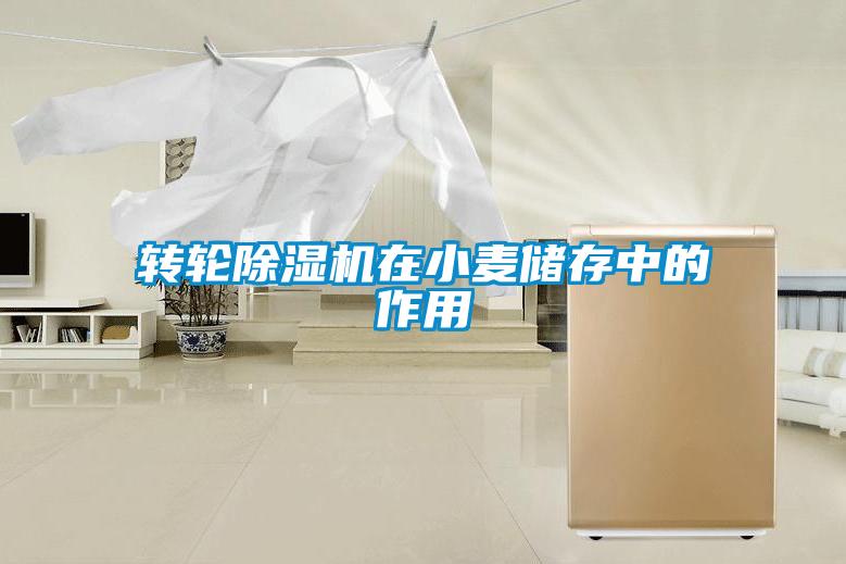 轉輪91看片在线下载機在小麥儲存中的作用