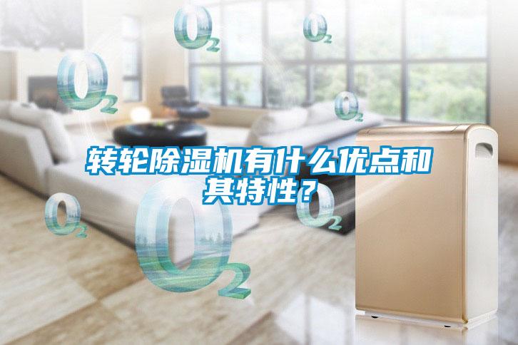 轉輪91看片在线下载機有什麽優點和其特性？