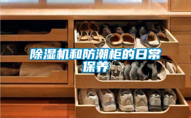 91看片在线下载機和防潮櫃的日常保養