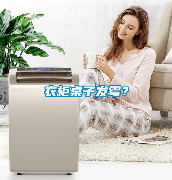 衣櫃桌子發黴？