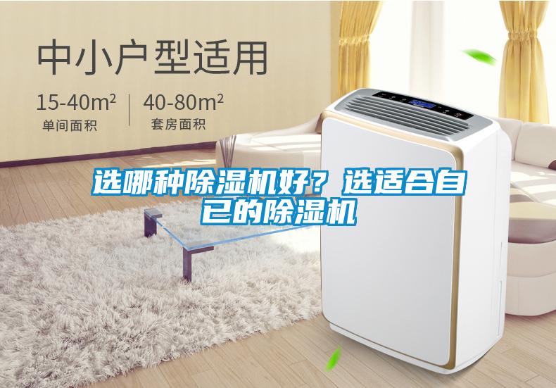 選哪種91看片在线下载機好？選適合自已的91看片在线下载機