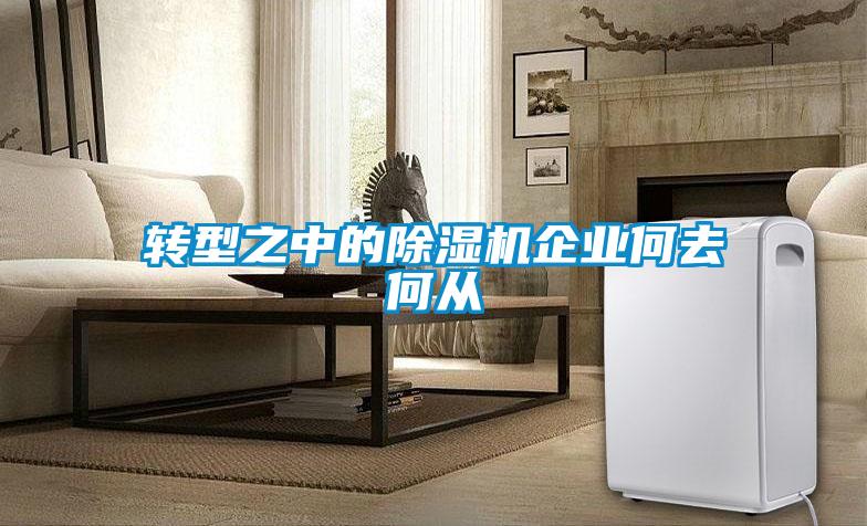 轉型之中的91看片在线下载機企業何去何從