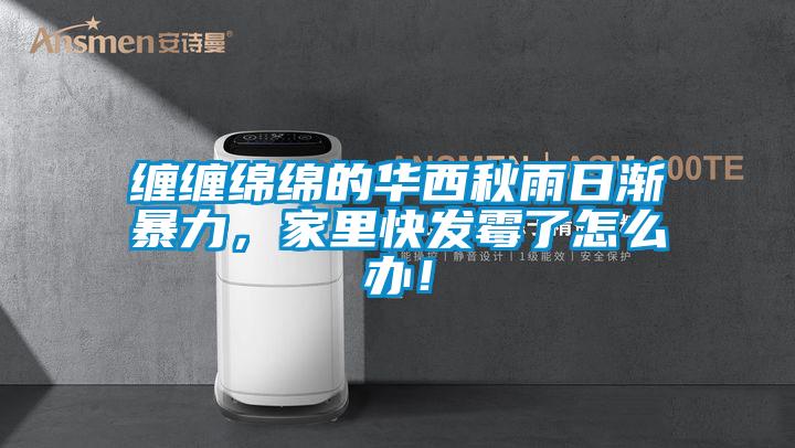 纏纏綿綿的華西秋雨日漸暴力，家裏快發黴了怎麽辦！