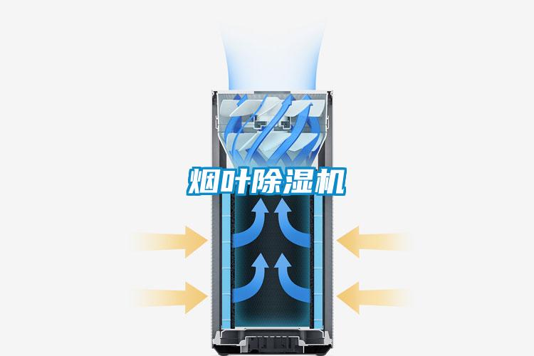 煙葉91看片在线下载機