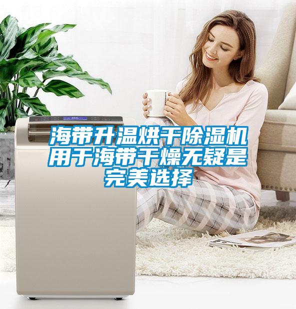 海帶升溫烘幹91看片在线下载機用於海帶幹燥無疑是完美選擇