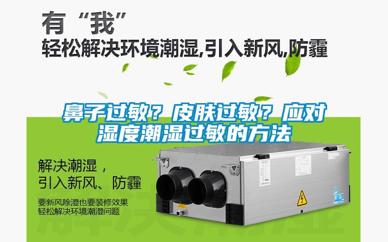 鼻子過敏？皮膚過敏？應對濕度潮濕過敏的方法