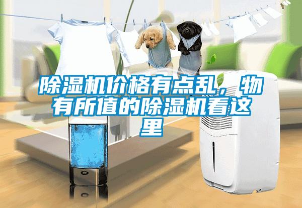 91看片在线下载機價格有點亂，物有所值的91看片在线下载機看這裏