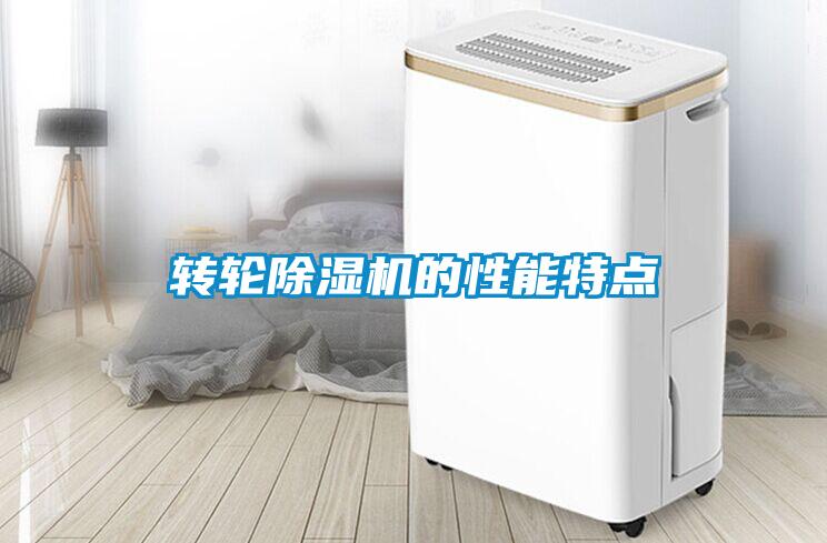 轉輪91看片在线下载機的性能特點