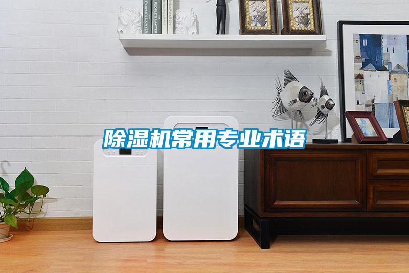 91看片在线下载機常用專業術語