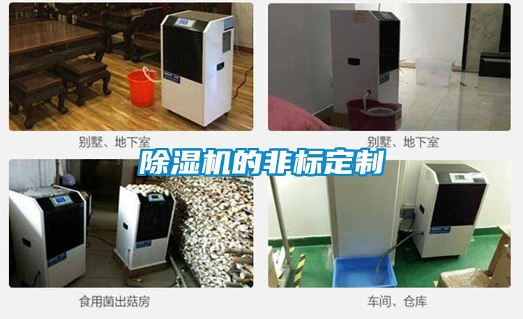 91看片在线下载機的非標定製