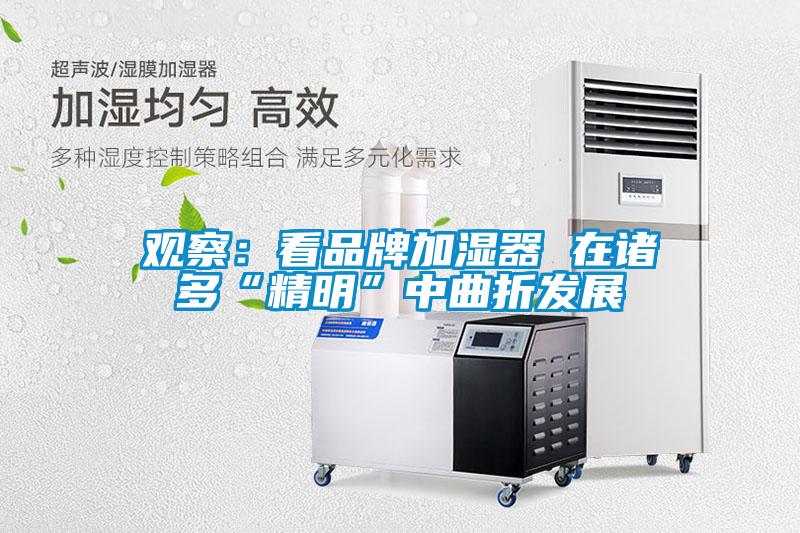 觀察：看品牌加濕器 在諸多“精明”中曲折發展