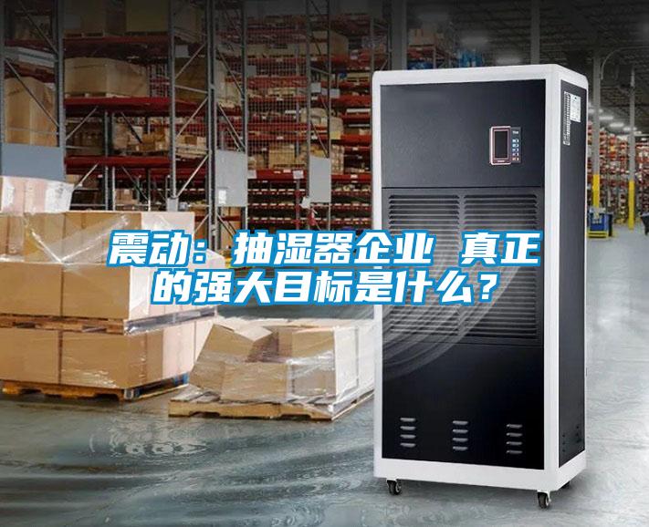 震動：抽濕器企業 真正的強大目標是什麽？