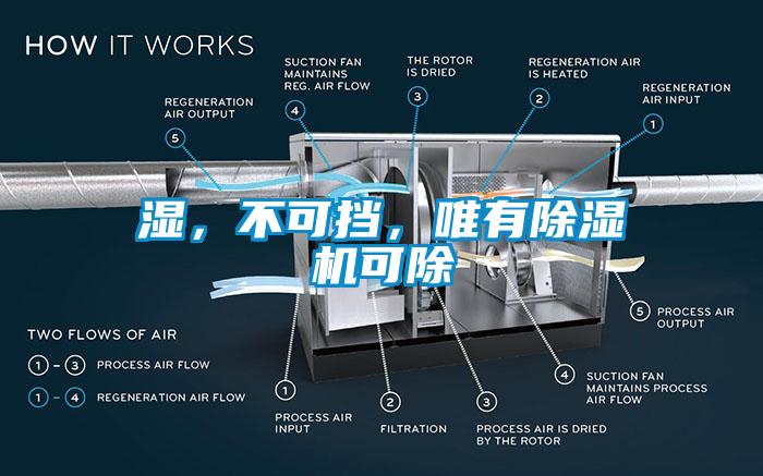 濕，不可擋，唯有91看片在线下载機可除