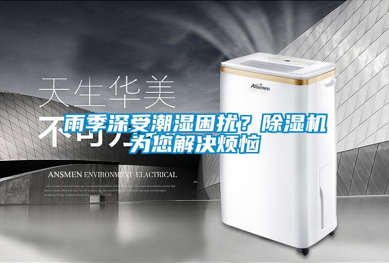 雨季深受潮濕困擾？91看片在线下载機為您解決煩惱