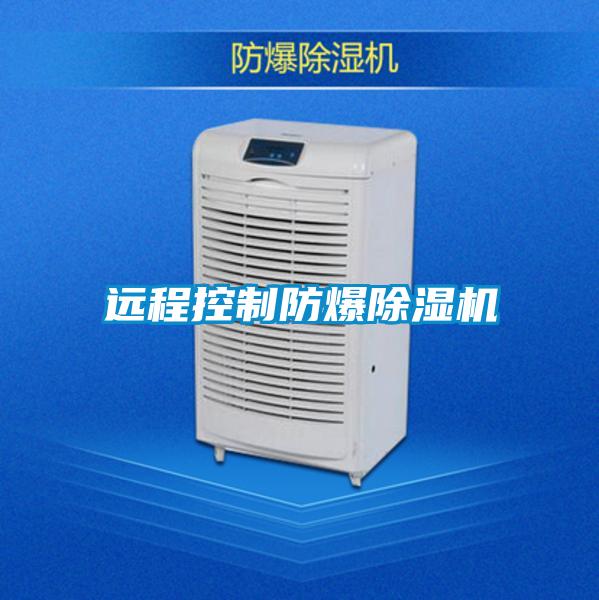 遠程控製防爆91看片在线下载機