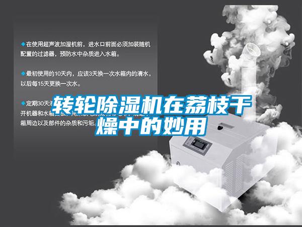 轉輪91看片在线下载機在荔枝幹燥中的妙用