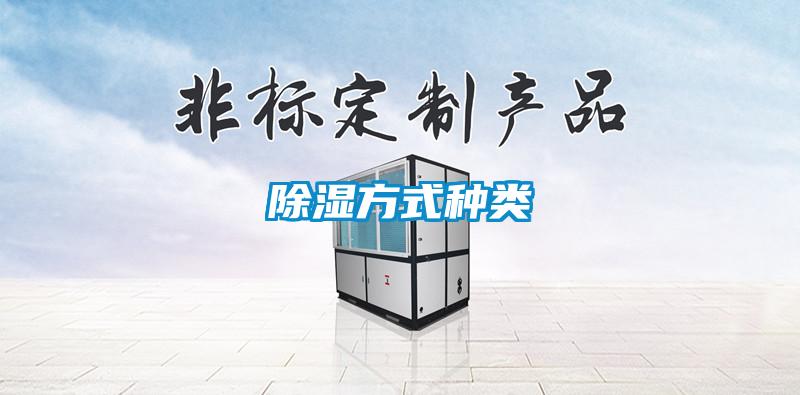 91看片在线下载方式種類