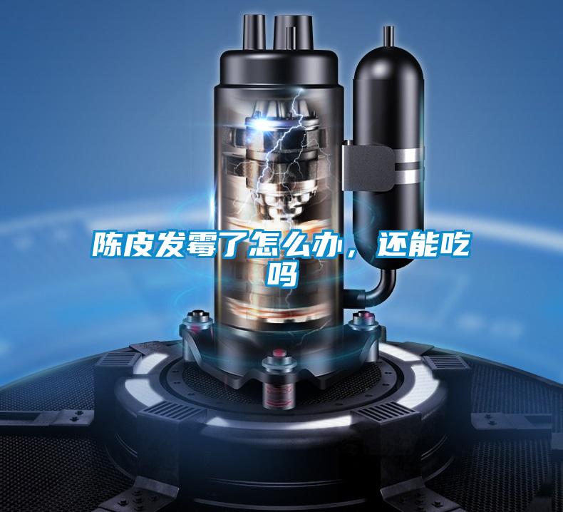 陳皮發黴了怎麽辦，還能吃嗎