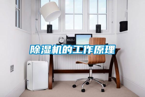 91看片在线下载機的工作原理