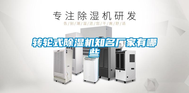 轉輪式91看片在线下载機知名廠家有哪些
