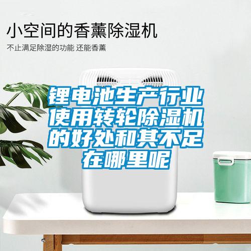 鋰電池生產行業使用轉輪91看片在线下载機的好處和其不足在哪裏呢