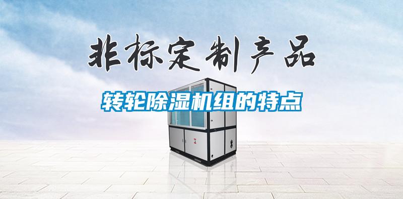 轉輪91看片在线下载機組的特點