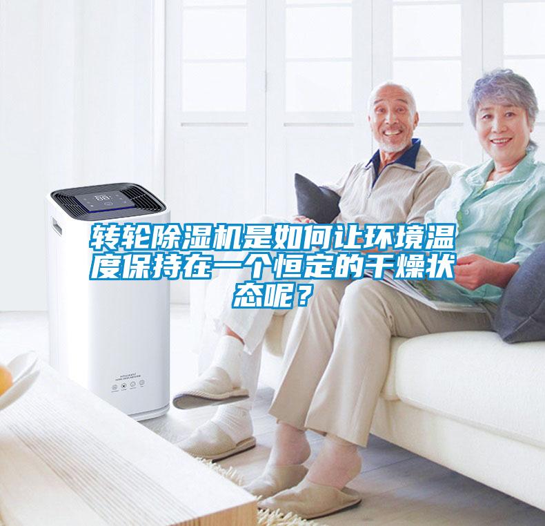 轉輪91看片在线下载機是如何讓環境溫度保持在一個恒定的幹燥狀態呢？