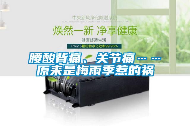 腰酸背痛、關節痛……原來是梅雨季惹的禍
