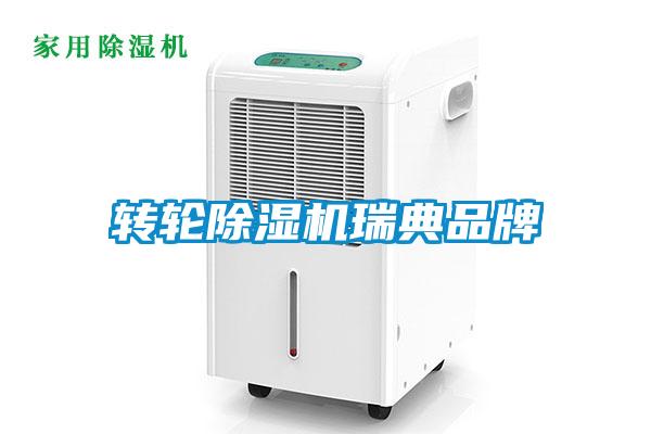 轉輪91看片在线下载機瑞典品牌