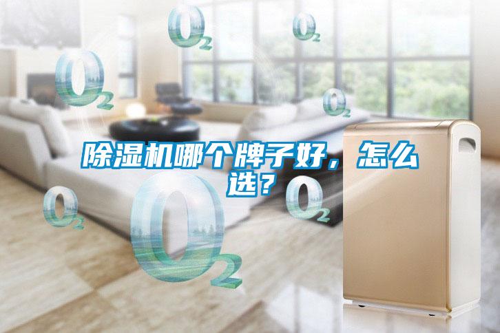 91看片在线下载機哪個牌子好，怎麽選？