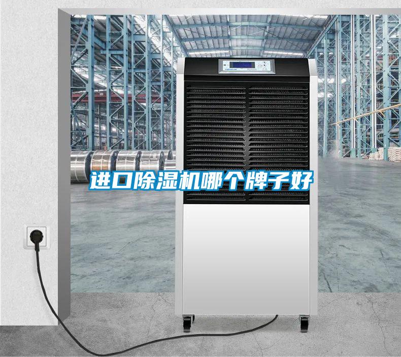 進口91看片在线下载機哪個牌子好