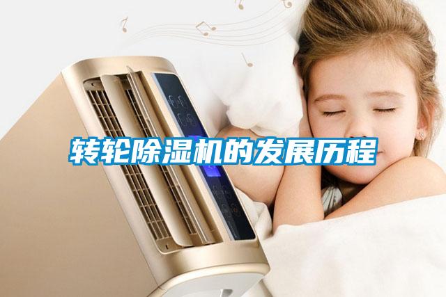 轉輪91看片在线下载機的發展曆程