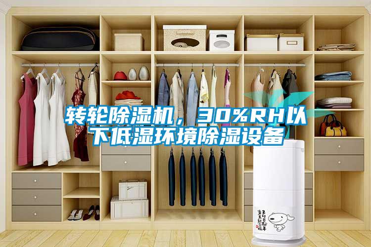 轉輪91看片在线下载機，30%RH以下低濕環境91看片在线下载設備
