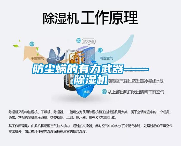 防塵蟎的有力武器——91看片在线下载機
