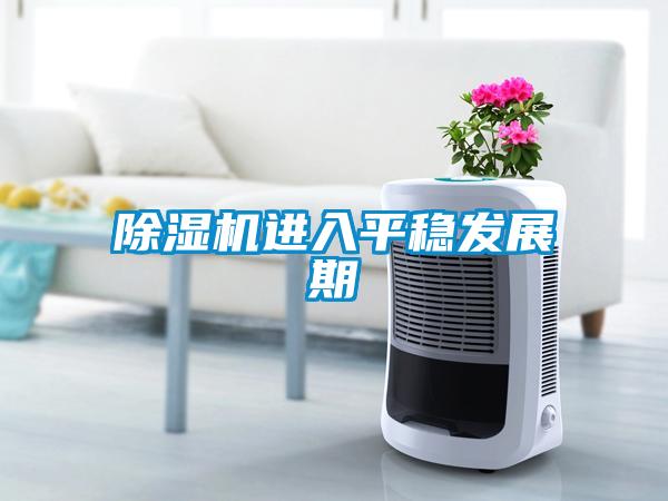91看片在线下载機進入平穩發展期