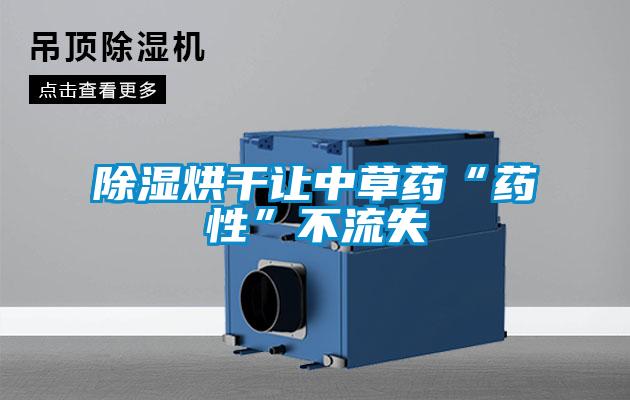 91看片在线下载烘幹讓中草藥“藥性”不流失